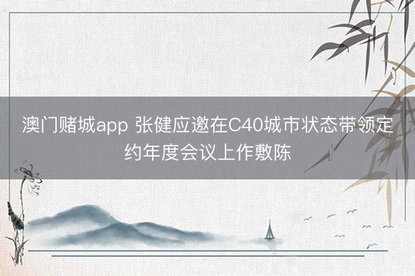 澳门赌城app 张健应邀在C40城市状态带领定约年度会议上作敷陈
